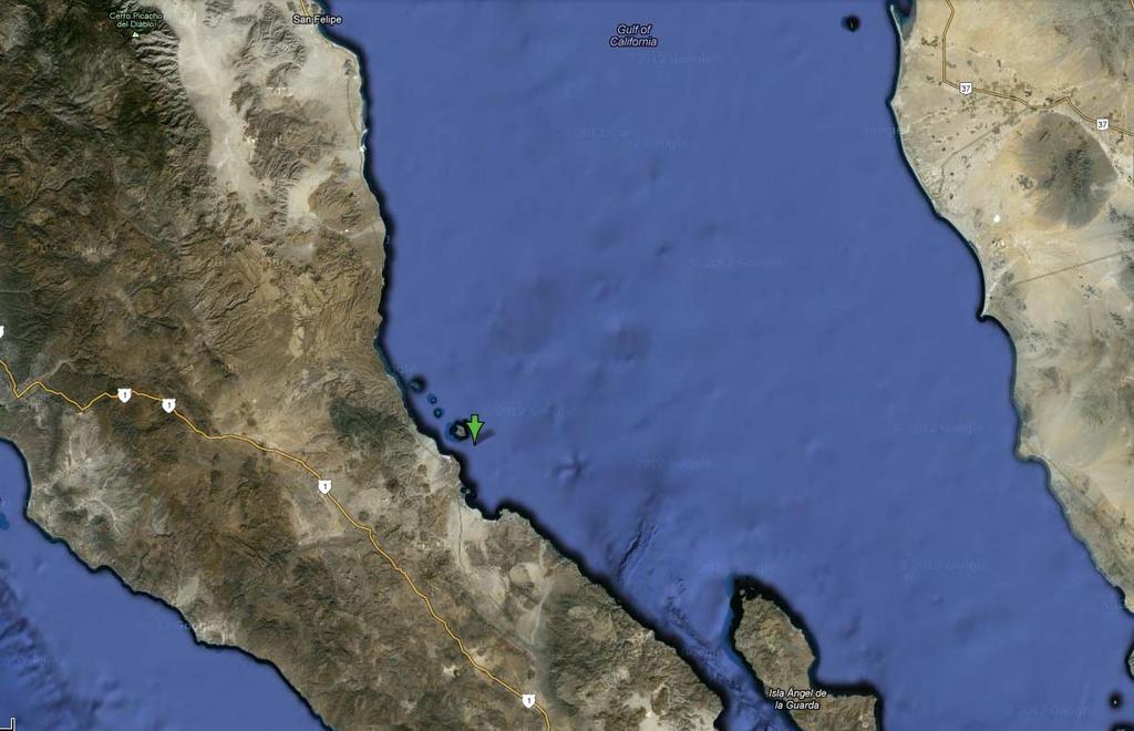 LOCATION OF INCIDENT: Port of San Felipe The green arrow designates the approximate location where Mexican authorities and the crew believe the vessel sank in the proximity of