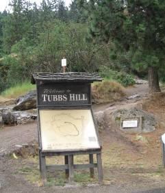 Parking at northwest edge of park serves Tubbs Hill as well as public docks and McEuen Field. Historic natural area at center of downtown CdA.