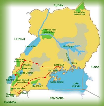 Entebbe/Mburo Mburo Safari Lodge B, L, D Day 3 Mburo/Bwindi Mahogany Springs B, L, D Day 4 Gorilla Trek in Bwindi Mahogany springs B, L, D Day 5 Bwindi/Queen