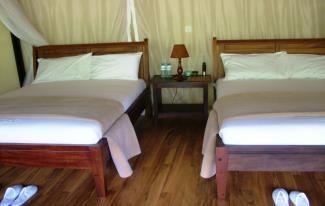 Opened in April, 2011, Mahogany Springs offers the best accommodation experience in Bwindi.