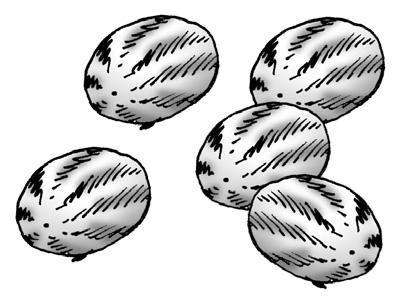 2. vaganje: Stavimo novčiće 1, 2, 3, 5 na jednu stranu vage, a novčiće 4, 9, 10, 11 na drugu stranu. Ako su jednakih masa, onda je lažni novčić 6, 7 ili 8, i on ima manju masu od ostalih.