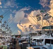 CARIBBEAN OVERVIEW Situated in St. Thomas Red Hook area, American Yacht Harbor Marina plays host to an impressive array of sport and pleasure boats, as well as megayachts.