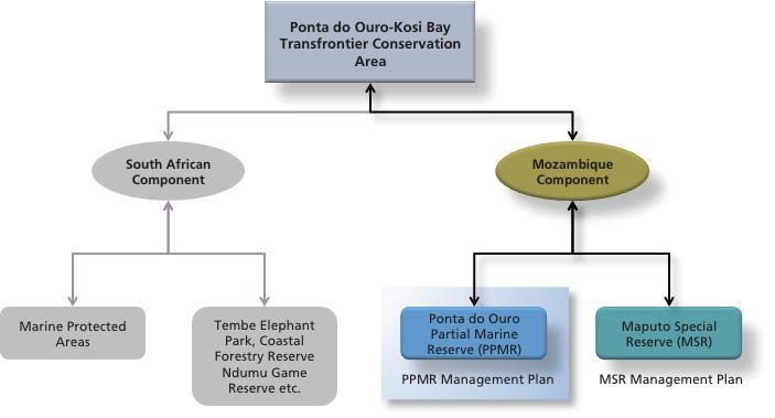 INTRODUCTION [2] For further context of the PPMR within the broader conservation environment, both within Mozambique and the Ponta do Ouro-Kosi Bay component of the Lubombo Transfrontier Conservation