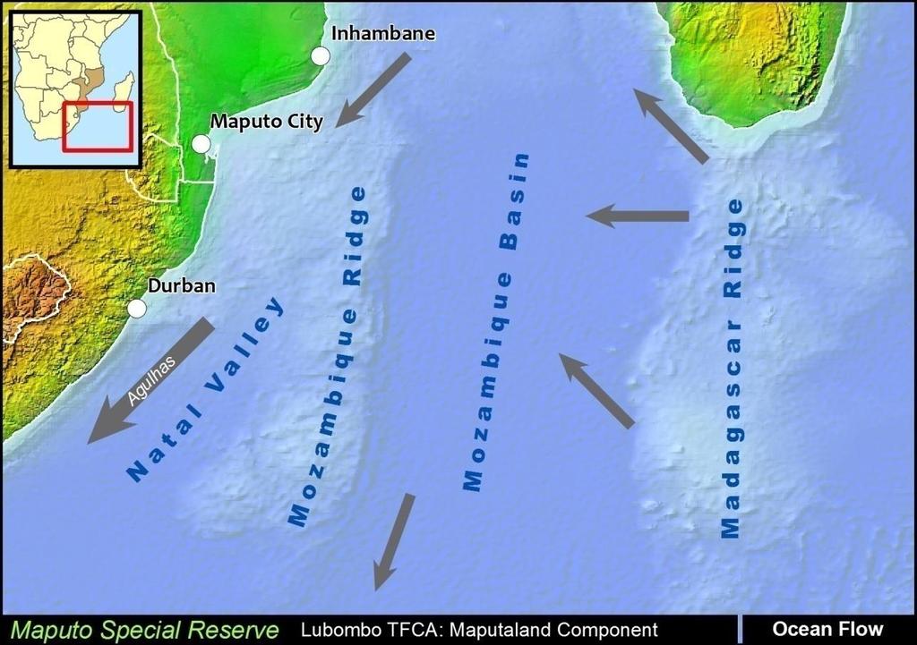 THE PLACE [12] 2.3 CURRENTS, WIND, AND WEATHER The continental shelf extends about 6NMs offshore with the easterly seaward boundary extending to 3NMs (Technical proposal, draft 5, September 2008).