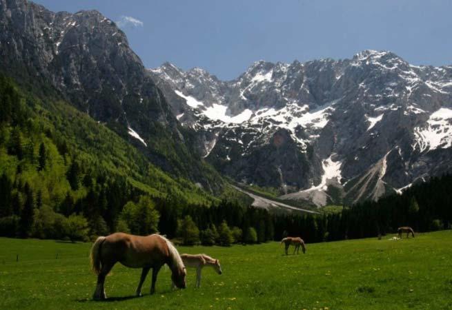 Alpine region of Slovenia seems as being created for outdoor activities.