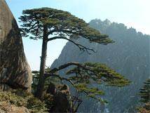 MT. Huangshan (Yellow Mountain) Huangshan Mountain in east China's Anhui province is one of Chinas ten best-known scenic spots, It is characterized by the four wonders, namely, odd-shaped pines,