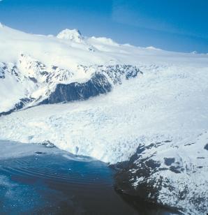 Visitors can see these trimlines on Tustumena and Skilak Glaciers on the western side of Harding Icefield (Figure 4).