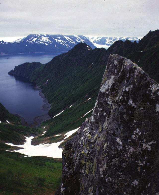 SIGNIFICANCE STATEMENT Geologic Processes Kenai Fjords National Park protects an outstanding example of a subsiding coastal mountain range with steep-sided fjords, drowned cirques, and jagged islands.