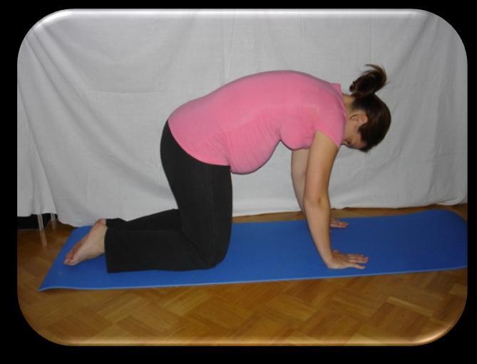 Raztezanje mišic hrbta Začetni položaj: Postavimo se v poloţaj v opori na rokah in kolenih.
