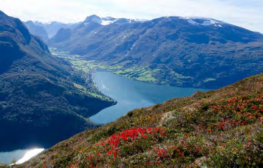 Innvikfjorden to the mountain station at 1011m. Once there, you will have a 210 degree panoramic view overlooking Mt.