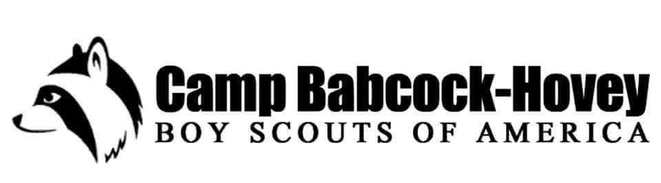 Leading by example Leading with Excellence In the life of every scout, in every scouter there is a moment, a single
