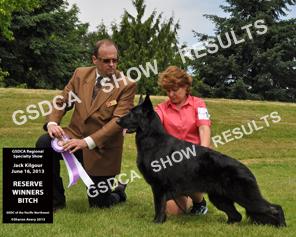 Open Bitches GSDCA Regional Specialty in the Pacific Northwest, June 16 th 2013; Judge: Jack Kilgour 168 RW Madeb's Little Black Dress at Sunrise DN33268701 DOB: 11/06/2011 Breeder: Morris Bartucci &