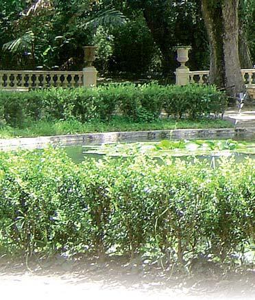 Ботаничка башта је у почетку била створена да би се на бразилску климу адаптирале поједине биљке, као што су мушкатни орах (Myristica fragrans), бибер (Schinus