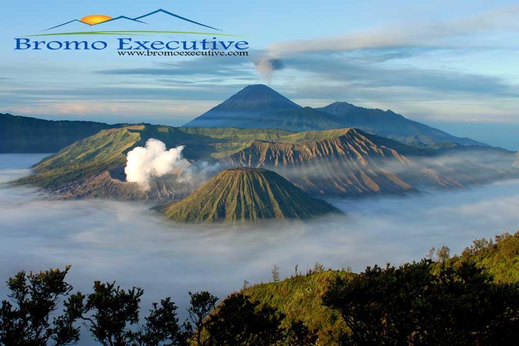 Bromo Tour Packages from the so-called online service providers in the Tour and Travel section either Domestic or Abroad.
