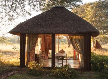 WELLNESS SPA TSALA Succumb to the peace and tranquillity of the African bush while indulging in some relaxing pampering.