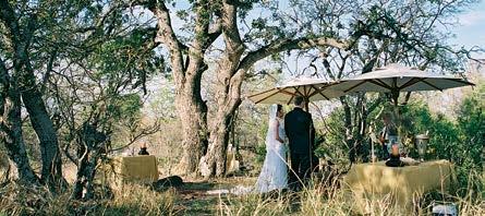 WEDDINGS At Kings Camp, your wedding ceremony will become a subtle stroke of Colonial grace and charm.