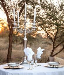 Wedding ceremony in a dry riverbed in the heart of the bushveld.