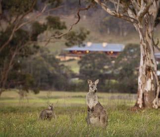 This vast continent continues to see the creation of a new breed of exceptional lodges and camps in some of its most beautiful and uniquely Australian regions.
