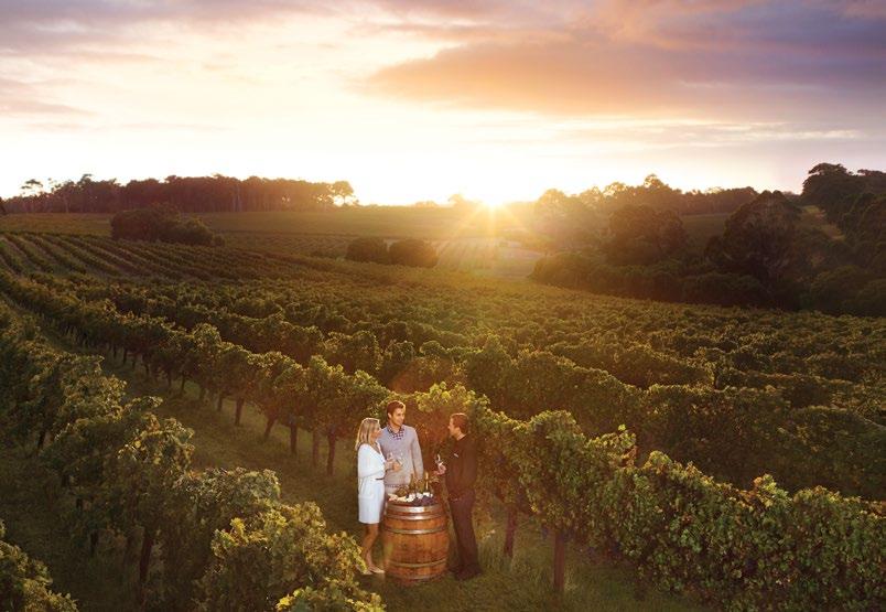 2.0 2016/17 overview Vineyards, Margaret River, WA AWARDS WON BY TOURISM AUSTRALIA AND ITS MARKETING PROGRAMS Business events marketing Suppliers of the Year: Visionaries Paul Griffin from Tourism