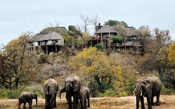 P a g e 6 Sabi Sand Private Game Reserve The Sabi Sands is South Africa's premier private game viewing destination.