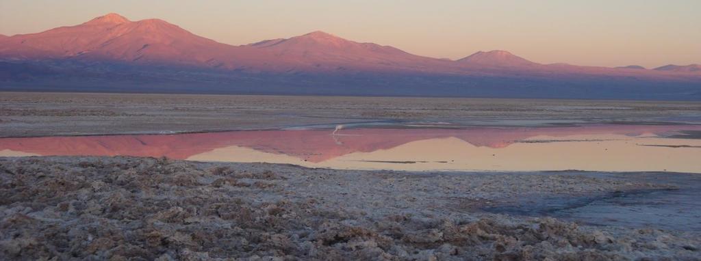 DAY 03 HALF DAY EXCURSION TO ATACAMA SALT FLAT AND TOCONAO The National Reservations certainly stand out by their effort to protect the great natural beauty of the flora and fauna that often is in