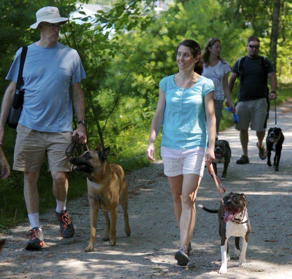 10 Trail Users by Annual Income According to U.S. Census survey for 2013, the median income for Maine households was just under $47,000; for the entire U. S.