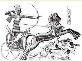 Egyptian Chariot D shape of lighter wood