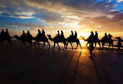 Most camel rides last for 20 minutes, however you can also embark on an hour-long sunset ride. HORSE RIDING Experience a scenic horse ride in bushland and along beach trails.