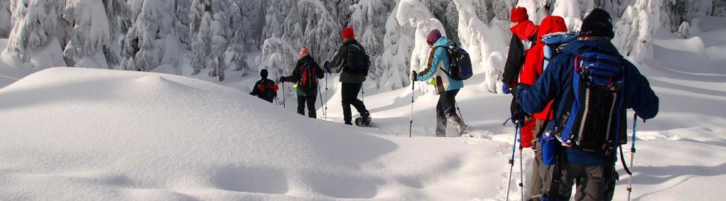 SNOWSHOEING Guided Snowshoeing Snowshoe Rentals $75/PP $25/PP Enjoy the great outdoors by snowshoeing through it s tranquil