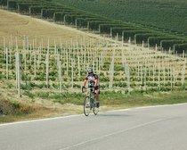 Day to Day Itinerary Bicycle Tours in Italy: Cycling Italy's Piedmont DAY 4 Loop ride to the wine villages of Serralunga, La Morra and Barolo Highlights Le Langhe wine region and wine villages,