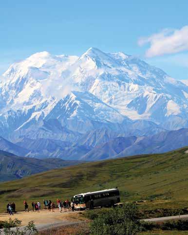 Explorer Tours Denali Backcountry Explorer Tour TBP s & Nights Immerse yourself in the heart and soul of on this special tour which takes you deep into Alaska s backcountry.