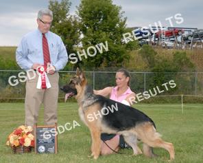 Novice Dogs GSDCA Regional Specialty, Sept. 7 th 2013; Judge: Robert Drescher 10 BOS WeLove DuChien's Leatherneck. DN34360902. 07/29/2012. Breeder: Jane E. Kerner & Jeffery Moebius.