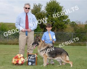Veteran Bitches 9 Yrs. & Up GSDCA Regional Specialty, Sept.