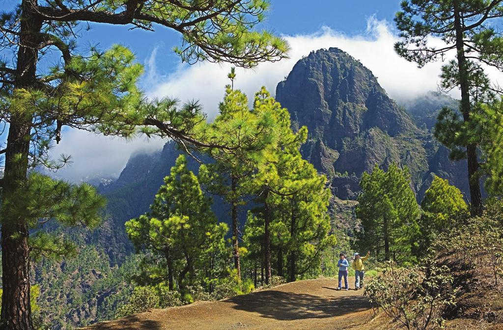 WELCOME TO La Palma Discover one of the lesser known Canary Islands, La Palma. The island sits northwest of Tenerife, north of smaller El Hierro, and is geologically similar to both.