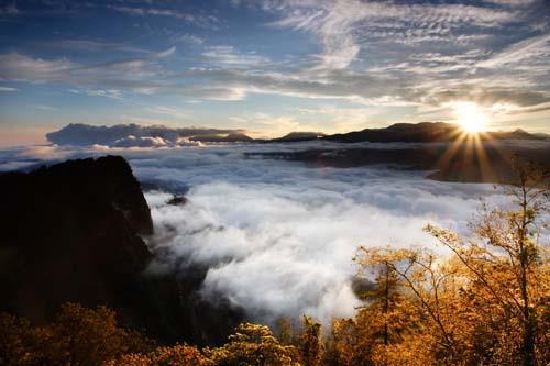 Alishan Forest Recreation Area Kaohsiung **Driver guide will not accompany the passengers and passengers will leave for