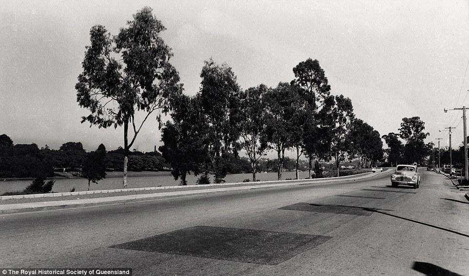 Coronation Drive, 1950: By the 1860s, the road was a dirt track known as Mogg-hill Road and later as Moggill Road.