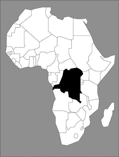 47 Which of the following is NOT considered typical of the developing economies of Sub- Sahara Africa?