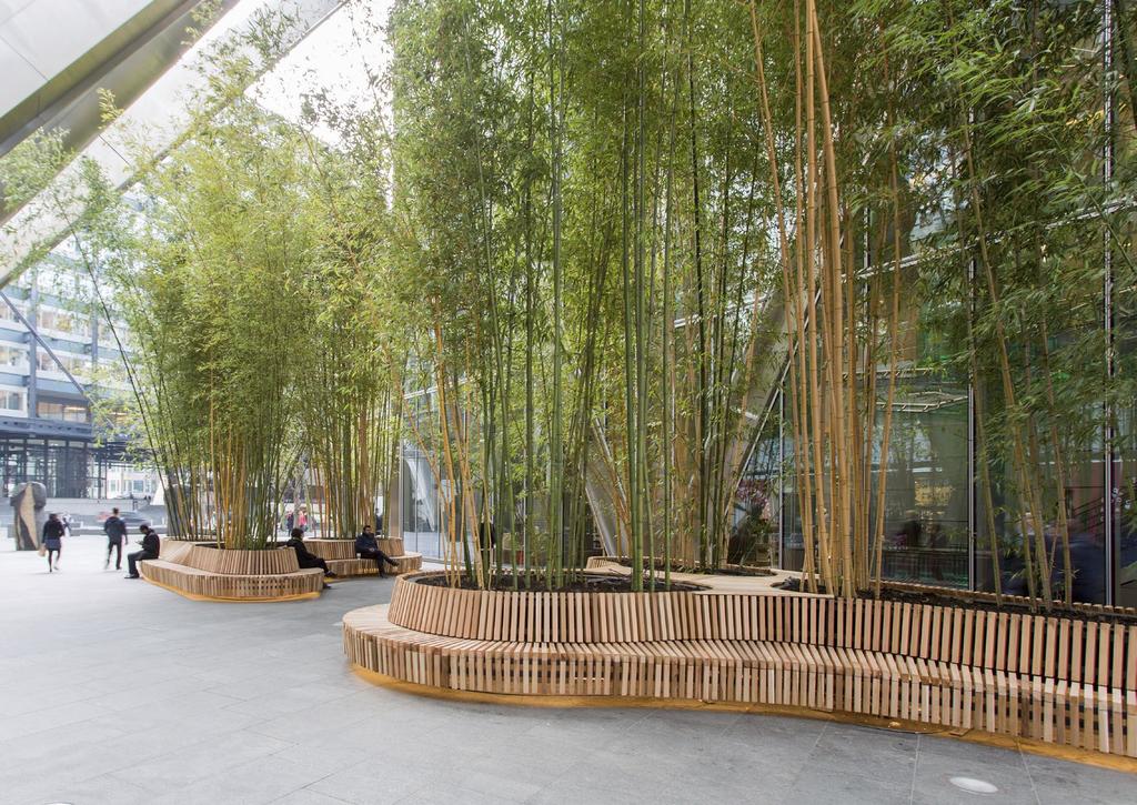 13 Miniature bamboo forests now fill Broadgate Plaza, creating a tropical and relaxing environment and