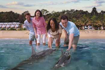 DAY TOUR FROM EXMOUTH FROM 252 PER ADULT NINGALOO REEF WHALE SHARK Introduction Australia 4Crocodiles in the Top End The northern coastal area of Australia is a huge, diverse wilderness where the