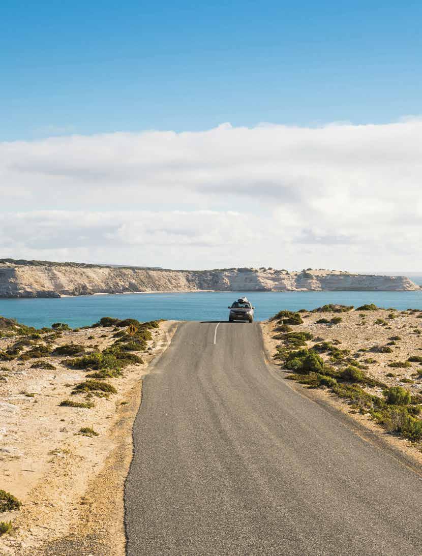 AVIS AUSTRALIA When travelling through Australia, the journey is part of the adventure. Pick up a car and explore Australia s scenic countryside, rugged coastlines or wild Outback at your own pace.