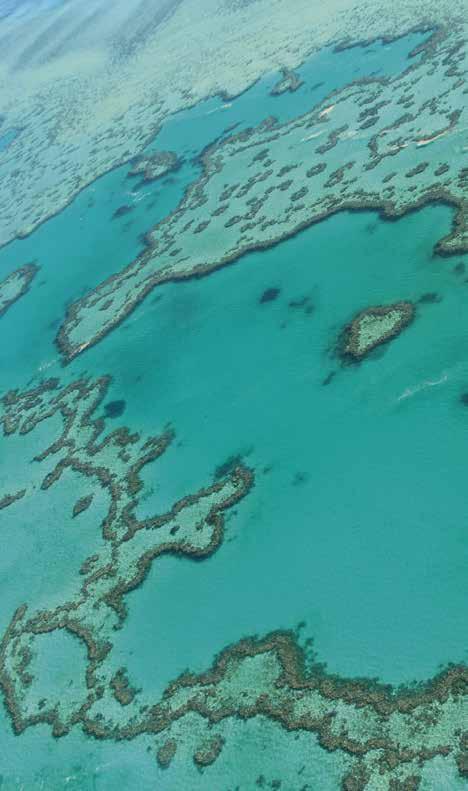 HEART REFF, THE WHITSUNDAYS The APT Difference: Experienced guides, drivers and tour directors Range of touring styles Sightseeing and more!