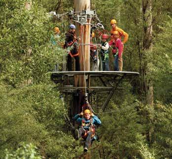 Join a one hour rainforest walk on the 30 metre high treetop canopy walkway, the longest and tallest of its type in the world.