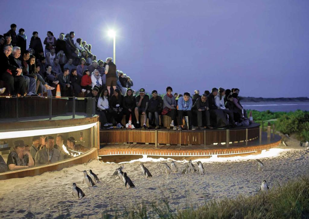 UNIQUE EXPERIENCES UNIQUE EXPERIENCES The Penguin Parade at Phillip Island With quintessential Australian