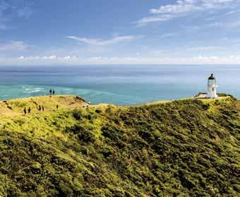 ESCORTED TOURING WITH APT APT provide a whole range of escorted touring options to help you discover the incredible delights for which New Zealand is known.