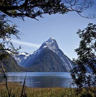 DAY 9: TE ANAU Take a day trip to the stunning Milford or Doubtful Sound, not to be missed!