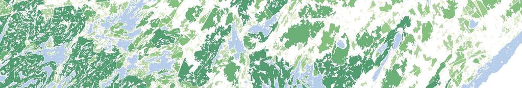 Map 4.2 Woodlands Relative Conservation Value Forthton Delta Brockville Higher Conservation Value Lower Conservation Value Greater Park Ecosystem St.