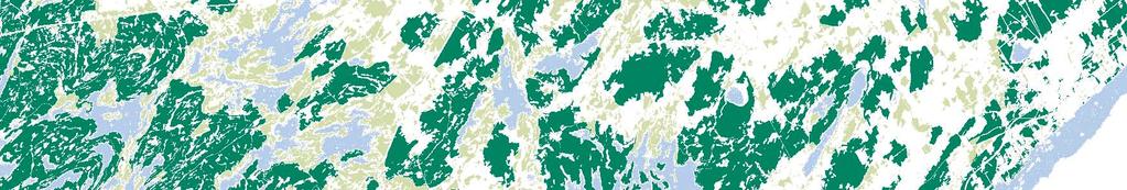 Map 4.3 Potential Proposed Significant Woodlands Forthton Delta Brockville Proposed Significant Woodland Other Woodland Greater Park Ecosystem St.