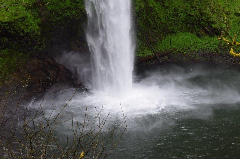 Silver Falls State Park gets over 1.3 million day visitors a year, with almost 79,000 overnight visitors a year.