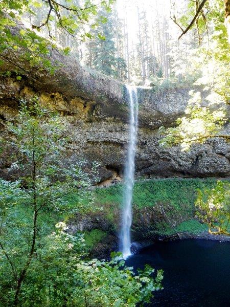 Silver Falls State Park is located an hour south of Portland or a half-hour east of Salem, Oregon s state capitol.