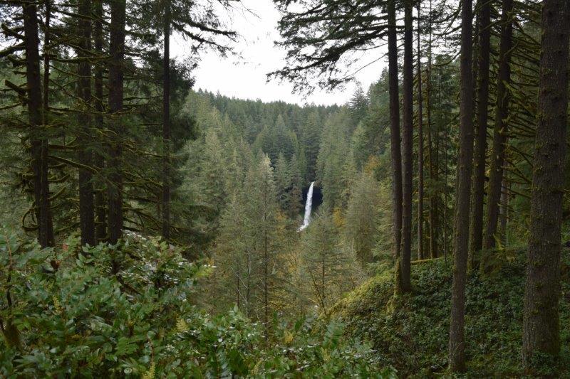 Silver Falls State Park The park s main attraction? A series of 10 waterfalls you ll feast your eyes on if you hike the 7.